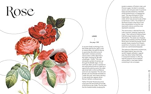 Flowers and Their Meanings: The Secret Language and History of Over 600 Blooms (A Flower Dictionary) by Karen Azoulay