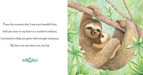 Why a Son Needs a Mom: Celebrate Your Special Mother and Son Bond with this Sweet Picture Book! by Gregory E. Lang