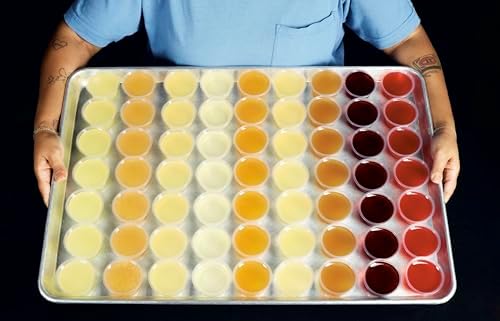 Solid Wiggles: Recipes and Techniques for Phenomenal Jelly Shots and Cakes by Jena Derman