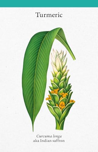 A Cabinet Full of Medicinal Plants: A Practical Card Deck (Kew Experts) by Royal Botanic Gardens Kew
