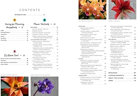 Bloom: The secrets of growing flowering houseplants year-round by Lisa Eldred Steinkopf