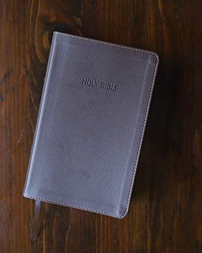 NIV, Foundation Study Bible, Leathersoft, Brown, Red Letter by Zondervan