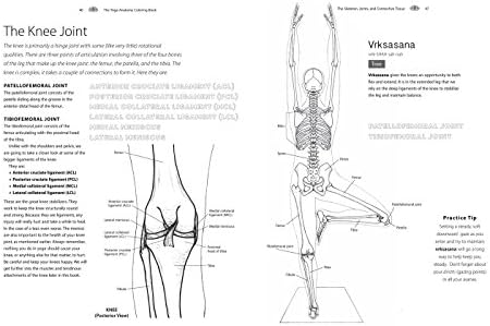 Yoga Anatomy Coloring Book: A Visual Guide to Form, Function, and Movement - An Educational Anatomy Coloring Book for Medical Students, Yoga Enthusiasts, Teachers & Adults (Volume 1) by Kelly Solloway