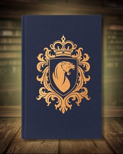Nobody's Quest (The Nobody Chronicles, 1) by Alyssa Day