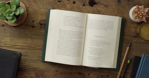 In the Lord I Take Refuge: 150 Daily Devotions through the Psalms by Dane Ortlund