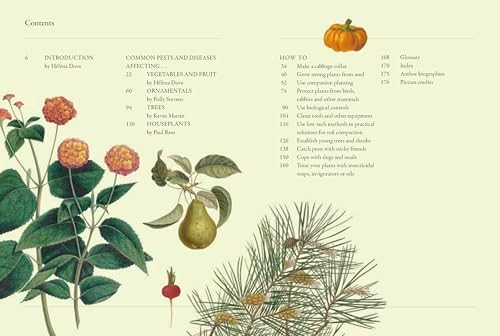 Gardener's Companion to Pests and Diseases: A Guide to Diagnosis, Treatment & Prevention (Kew Experts) by Kew Royal Botanic Gardens