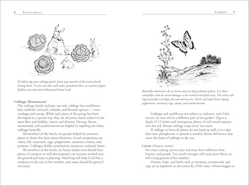 Carrots Love Tomatoes: Secrets of Companion Planting for Successful Gardening by Louise Riotte