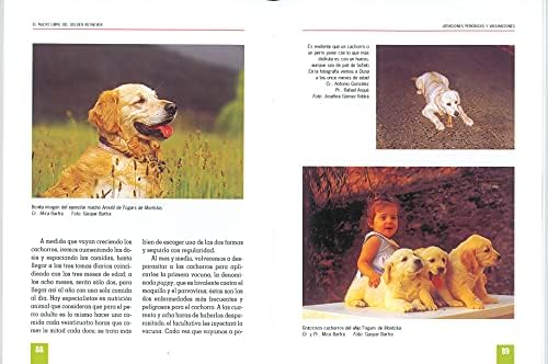Golden retriever (Spanish Edition) by J. J. Hamilton