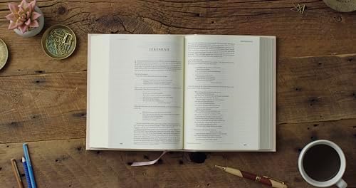 ESV Single Column Journaling Bible (Cloth over Board, Rosehip Design): Holy Bible, English Standard Version by ESV Bibles