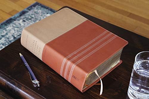 NIV, Biblical Theology Study Bible (Trace the Themes of Scripture), Leathersoft, Tan/Brown, Comfort Print: Follow God’s Redemptive Plan as It Unfolds throughout Scripture by Zondervan