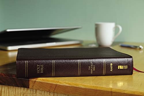 Amplified Holy Bible, Large Print, Bonded Leather, Burgundy: Captures the Full Meaning Behind the Original Greek and Hebrew by Zondervan