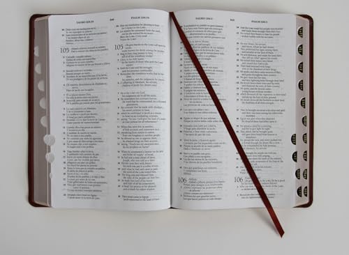 Biblia Bilingüe Reina Valera 1960 (ESV) letra grande símil piel marrón con índice/ Bilingual Bible RVR 1960 (ESV) Large Print Brown Leathersoft with Thumb (Spanish Edition) by Reina Valera Revisada 1960