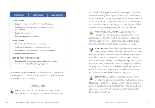 We're Pregnant! The First Time Dad's Pregnancy Handbook by Adrian Kulp
