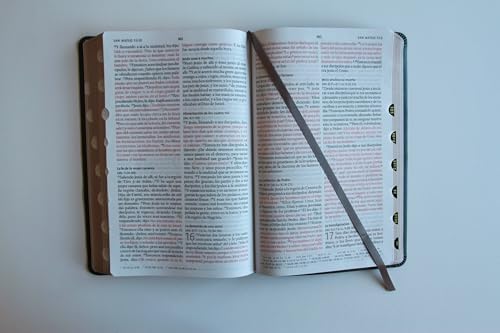 Biblia RVR 1960 letra grande tamaño manual, Piel gris con índice / Spanish Bible RVR 1960 Handy Size Large Print Leathersoft Gray with index (Spanish Edition) by Reina Valera Revisada 1960