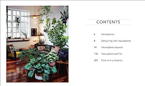Houseplant: Practical Advice for All Houseplants, Cacti, and Succulents by DK