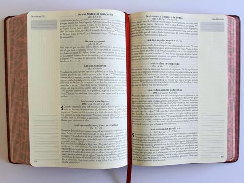 Biblia de Apuntes RVR 1960 Tapa dura, Vino tinto (Edición cantos pintados) / Spanish Journalling Bible RVR 1960 Hardcover Burgundy (Spanish Edition) by Reina Valera Revisada 1960