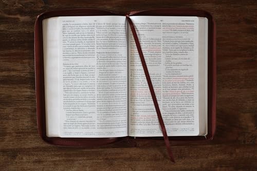 Biblia Reina Valera 1960 letra grande. Símil piel canela, cremallera, tamaño manual / Spanish Bible RVR 1960. Handy Size, Large Print, Leathersoft, Brown Zip (Spanish Edition) by Reina Valera Revisada 1960