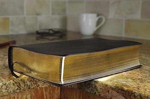 KJV, Amplified, Parallel Bible, Large Print, Bonded Leather, Black, Red Letter: Two Bible Versions Together for Study and Comparison by Zondervan