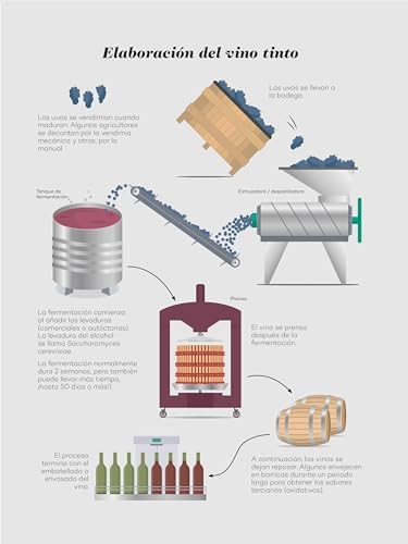 Wine Folly: Edición Magnum: La guía maestra del vino by Madeline Puckette