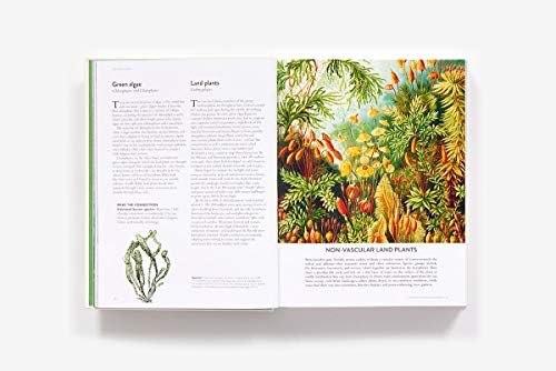 The Botanical Bible: Plants, Flowers, Art, Recipes & Other Home Uses (The Backyard Naturalist Series) by Sonya Patel Ellis