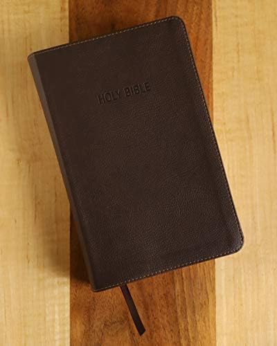 NIV, Foundation Study Bible, Leathersoft, Brown, Red Letter, Thumb Indexed by Zondervan