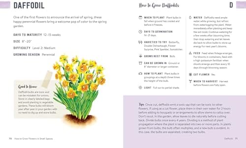 How to Grow Flowers in Small Spaces: An Illustrated Guide to Planning, Planting, and Caring for Your Small Space Flower Garden by Stephanie Walker