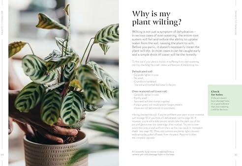 How to Make Your Houseplants Love You: Expert Answers for Plant Parents by Joe Bagley