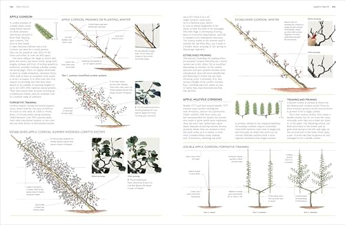 Pruning and Training: What, When, and How to Prune by DK