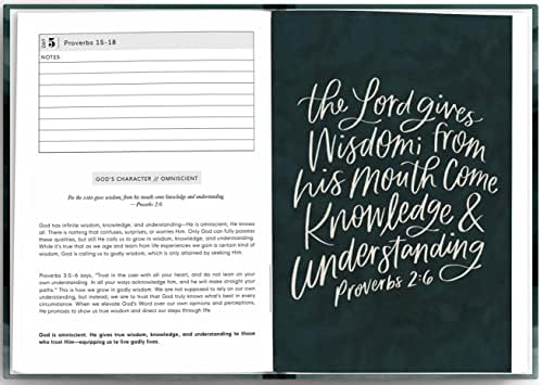 The Bible in a Year: A Guided Bible Study Reading Plan to Read the Bible in 52 Weeks (Premium Hardcover Keepsake Edition) by Lauren Ibach