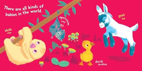 Indestructibles (The Original): Baby Animals: Chew Proof · Rip Proof · Nontoxic · 100% Washable (Book for Babies, Newborn Books, Safe to Chew) by Amy Pixton