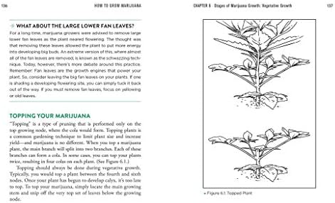 How to Grow Marijuana: The Easiest Guide to Growing Weed by Murph Wolfson