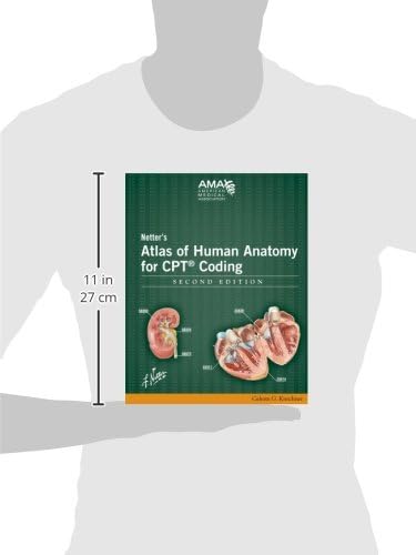 Netter's Atlas of Human Anatomy for CPT Coding by Celeste G. Kirschner