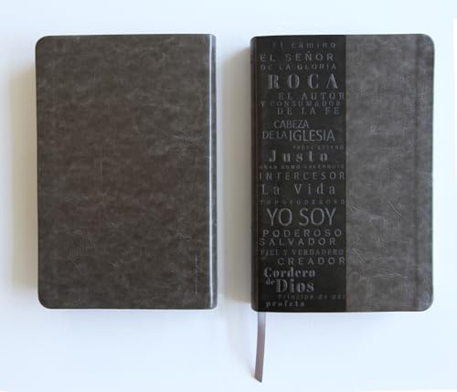 Biblia RVR 1960 letra grande tamaño manual, simil piel gris con nombres de Dios / Spanish Bible RVR 1960 Handy Size Large Print Leathersoft Grey, Names of god (Spanish Edition) by Reina Valera Revisada 1960