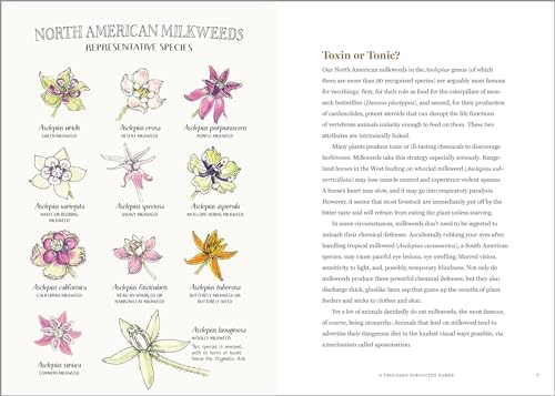 The Milkweed Lands: An Epic Story of One Plant: Its Nature and Ecology by Eric Lee-Mäder