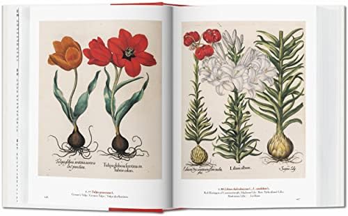 A Garden Eden. Masterpieces of Botanical Illustration. 45th Ed. (45th Edition) (Multilingual Edition) by H. Walter Lack