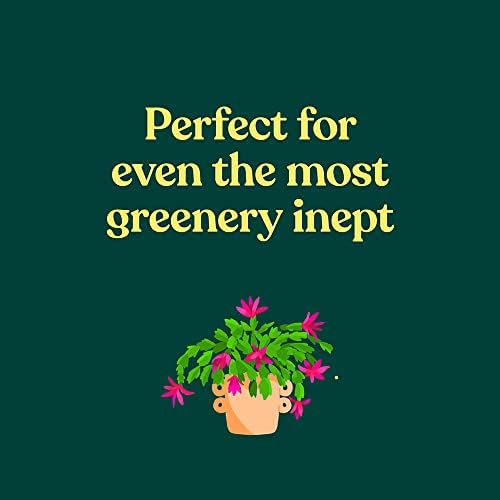 The Green Dumb Guide to Houseplants: 45 Unfussy Plants That Are Easy to Grow and Hard to Kill by Holly Theisen-Jones