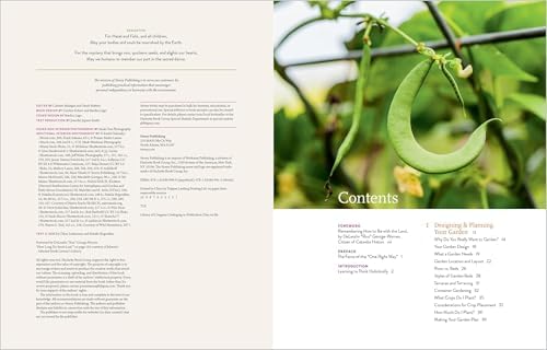 The New Natural Food Garden: A Comprehensive Guide to Growing a Bountiful Harvest with Less Work, in Partnership with Nature by Natalie Bogwalker