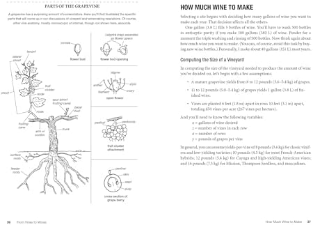 From Vines to Wines, 5th Edition: The Complete Guide to Growing Grapes and Making Your Own Wine by Jeff Cox