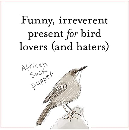 The Field Guide to Dumb Birds of the Whole Stupid World by Matt Kracht