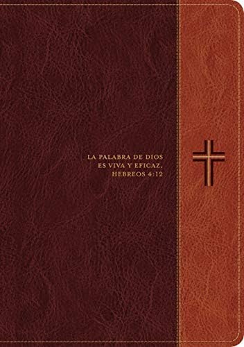 Biblia de estudio del diario vivir RVR60, letra grande (SentiPiel, Café/Café claro, Letra Roja) (Spanish Edition) by Tyndale
