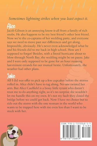 Right as Rain: A North Bay Enemies-to-Lovers Romance (The North Bay Series) by Stephanie Giese