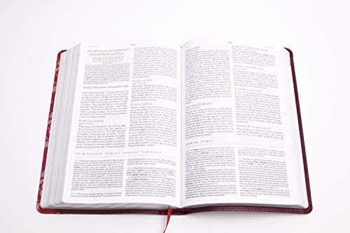 Biblia Reina Valera 1960 de Estudio para mujeres vino tinto-fucsia, símil piel | RVR 1960 Women Study Bible, Burgundy-Fuschia LeatherTouch (Spanish Edition) by Dorothy Kelley Patterson