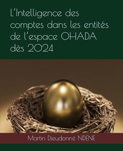 L’Intelligence des comptes dans les entités de l’espace OHADA dès 2024 (French Edition) by Martin Dieudonné NDENE