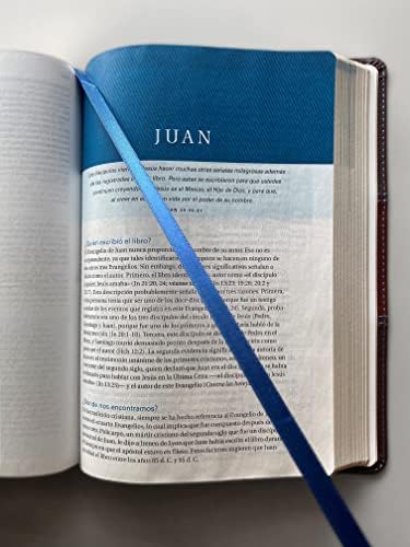 Biblia de estudio Swindoll NTV (Tapa dura, Azul) (Spanish Edition) by Tyndale
