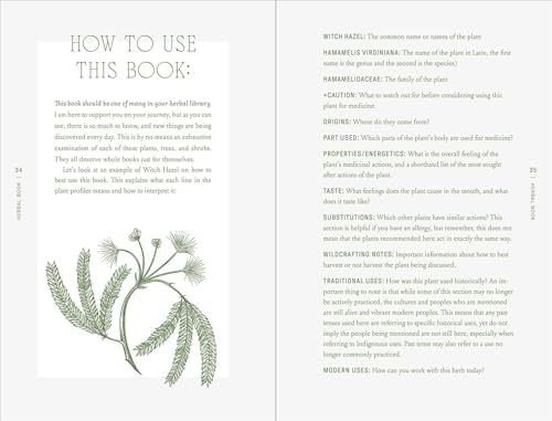The Complete Folk Herbal: An Illustrated Guide to Natural Remedies and Everyday Healing by Rebecca Beyer