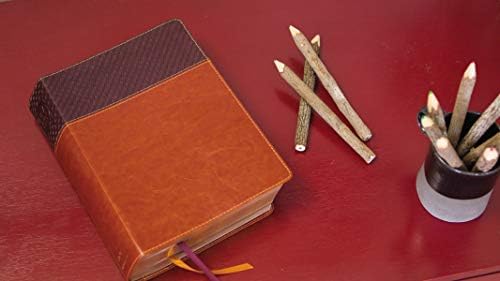 NIV Study Bible, Fully Revised Edition (Study Deeply. Believe Wholeheartedly.), Large Print, Leathersoft, Brown, Red Letter, Comfort Print by Zondervan