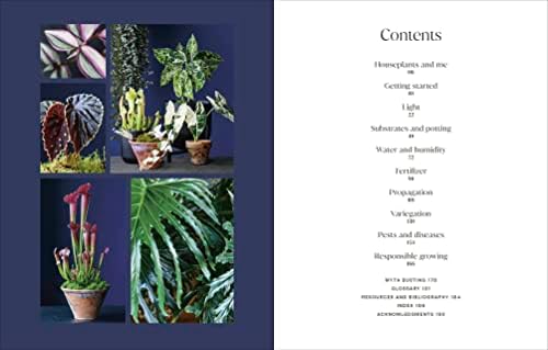 Not Another Jungle: Comprehensive Care for Extraordinary Houseplants by Tony Le-Britton