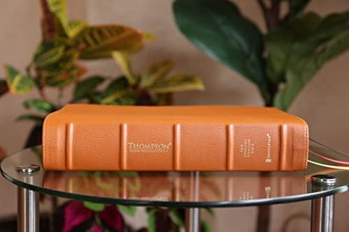 NASB, Thompson Chain-Reference Bible, Premium Goatskin Leather, Premier Collection, Tan, 1995 Text, Black Letter, Art Gilded Edges, Comfort Print by Zondervan