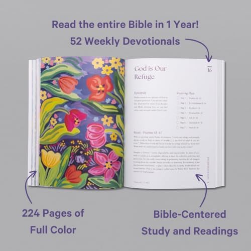 A Beautiful Year in the Bible: The 52-Week Bible Study for Women by Alabaster Co.