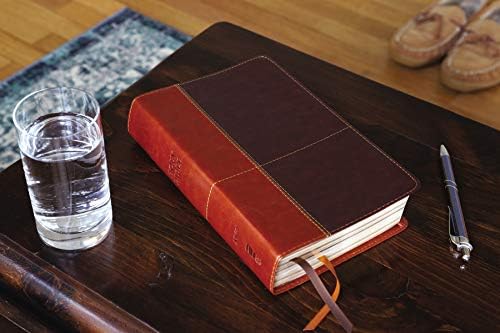 NIV, Personal Size Reference Bible, Large Print, Leathersoft, Tan/Brown, Red Letter, Comfort Print by Zondervan